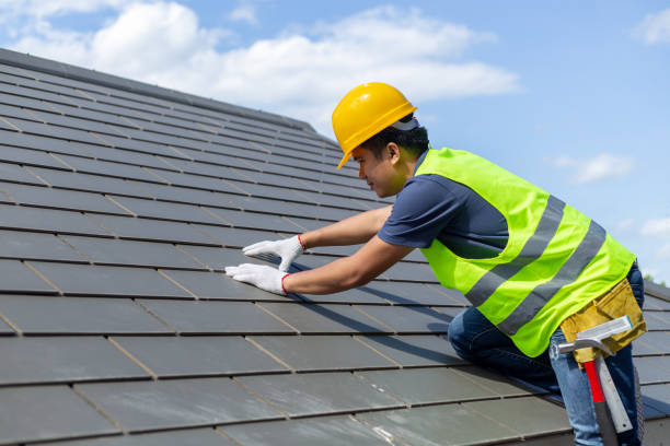 Best Roof Gutter Cleaning  in Port Dickinson, NY