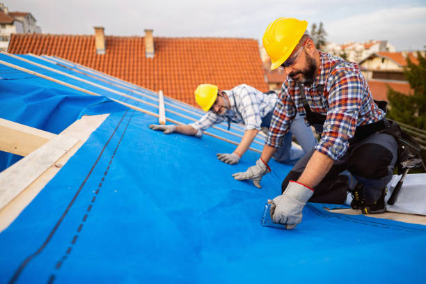 Best Roof Gutter Cleaning  in Port Dickinson, NY